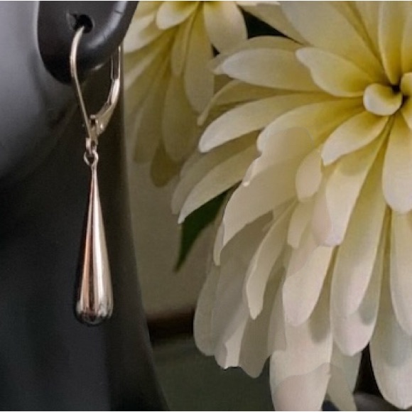 925 Sterling Earrings